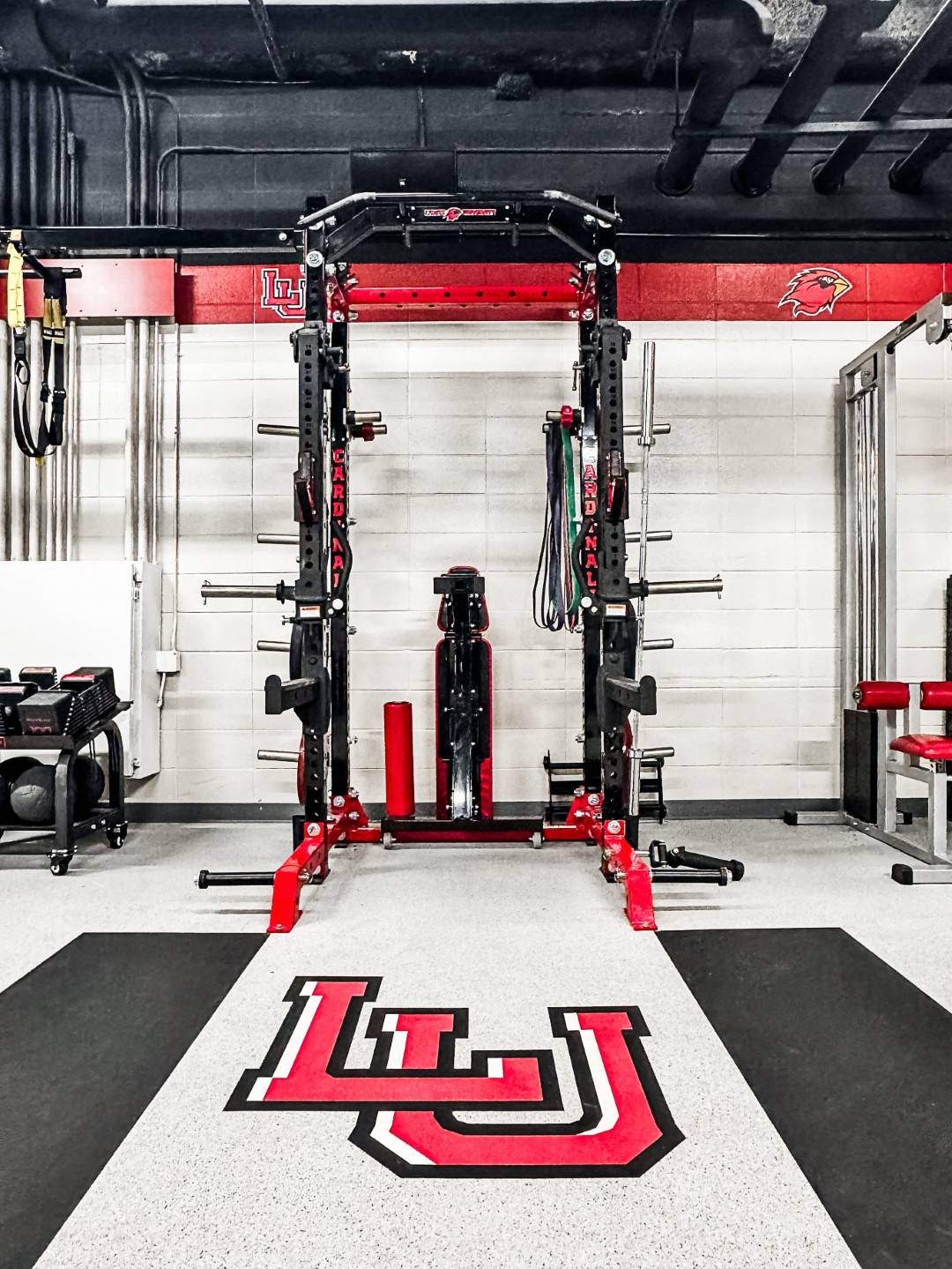 lamar-university-basketball-power-lift